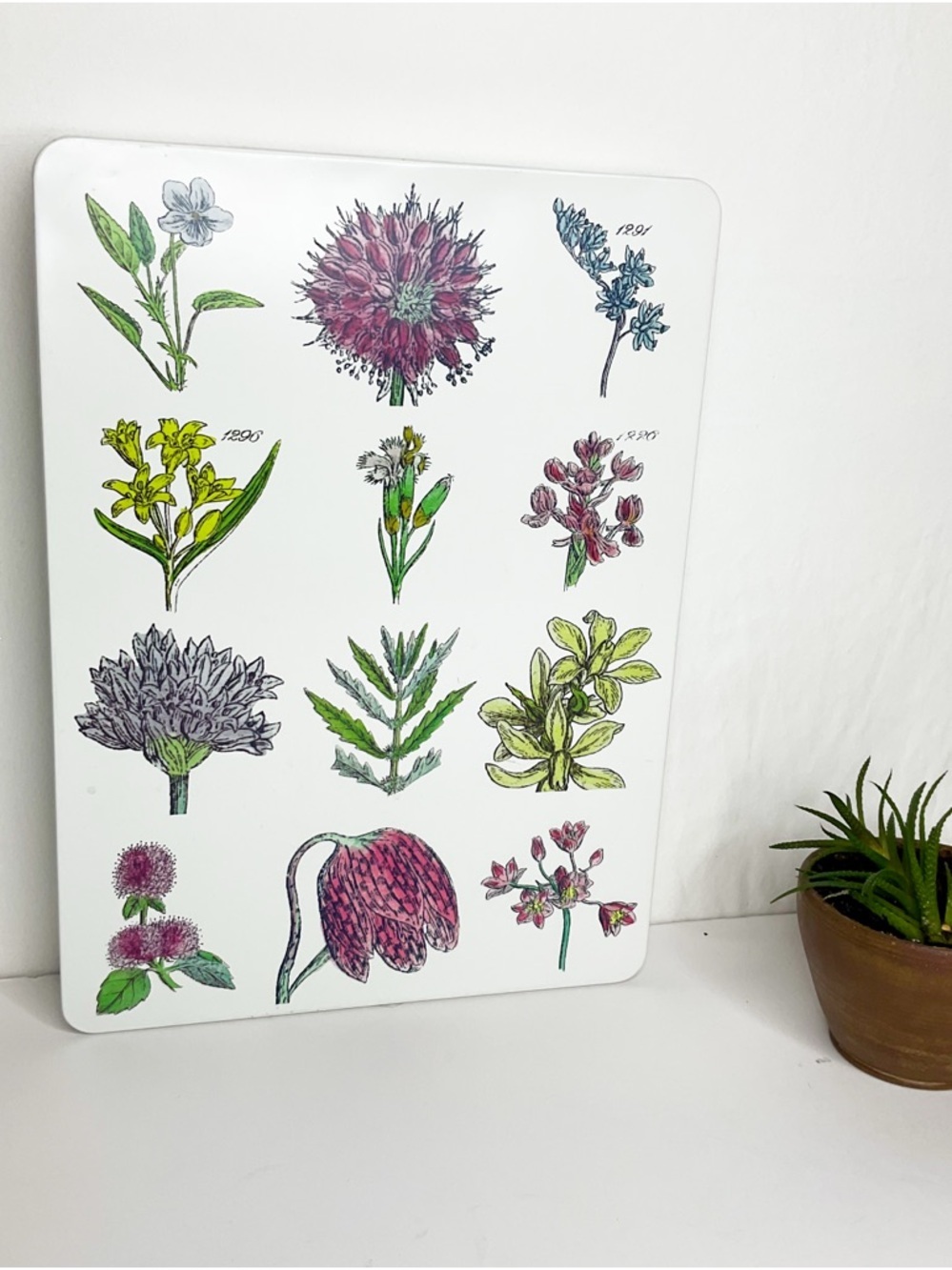 Crabtree & Evelyn Floral Botanical Decorative Tin - Pink, Green, Yellow Accents - Picture 6 of 6